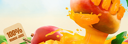 promo banner